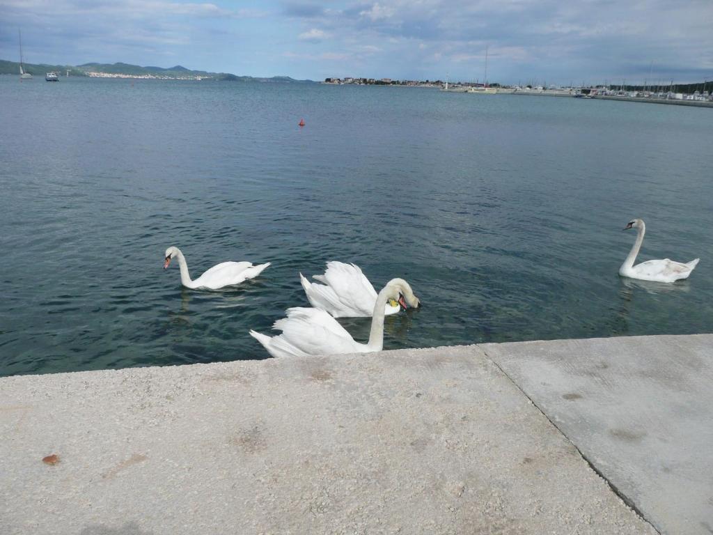 Apartments Renjak Sukošan Szoba fotó